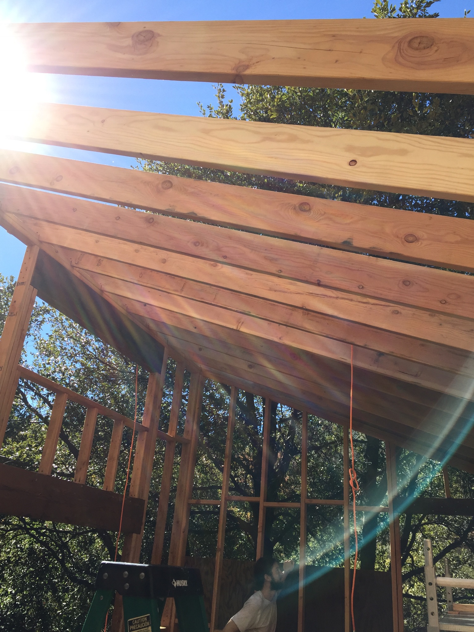 Rafters of the tiny home, sun streaming through